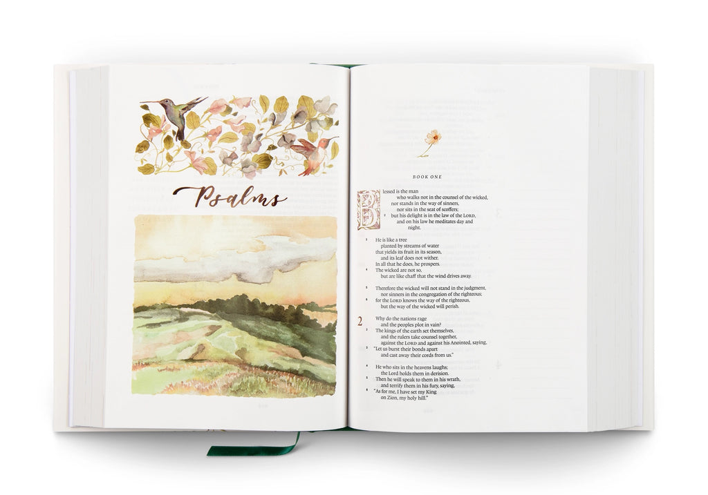 ESV Gracelaced Bible