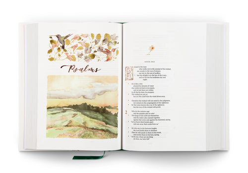 ESV Gracelaced Bible